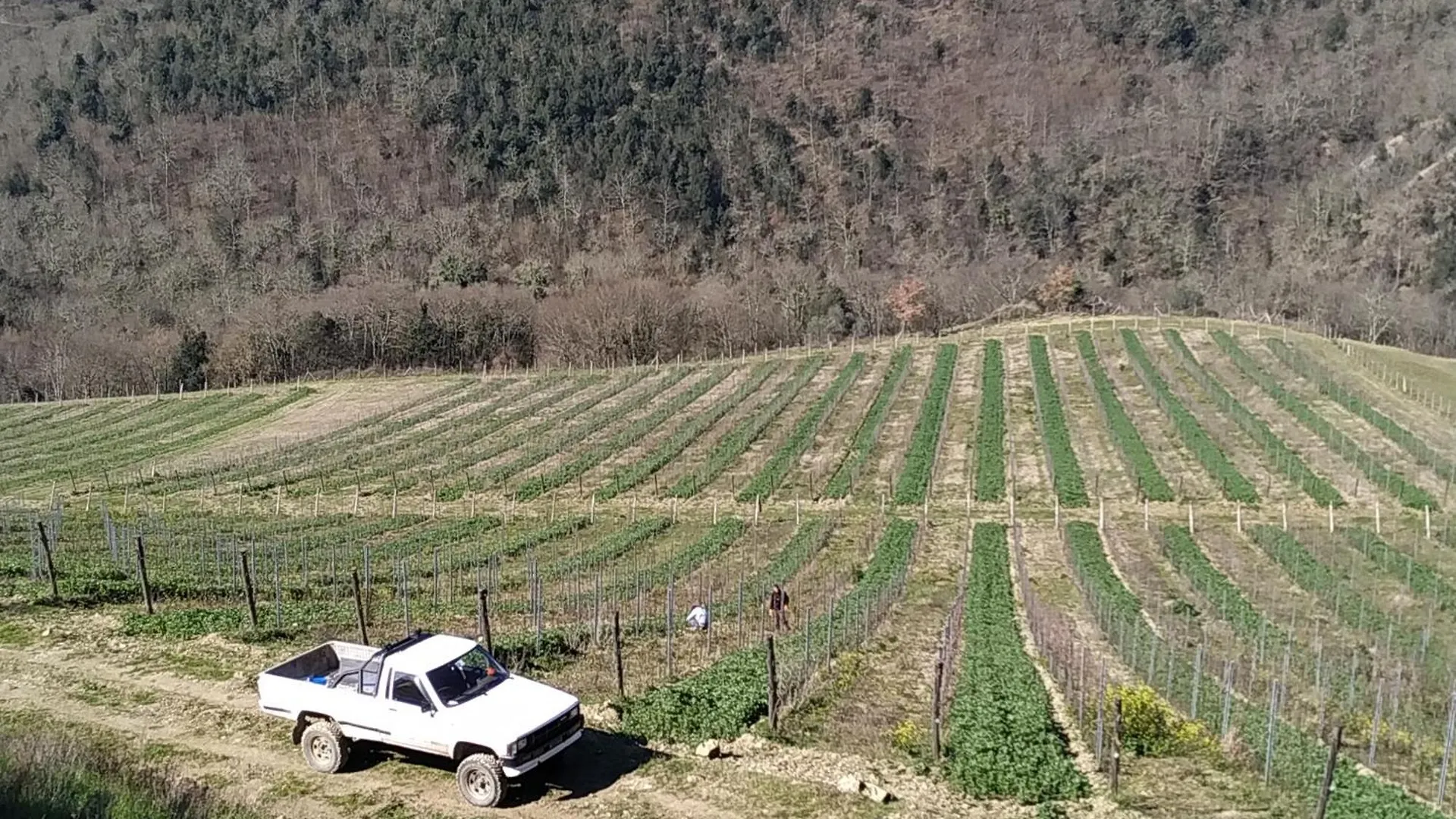 Farma Vila Borgo Macereto Dicomano