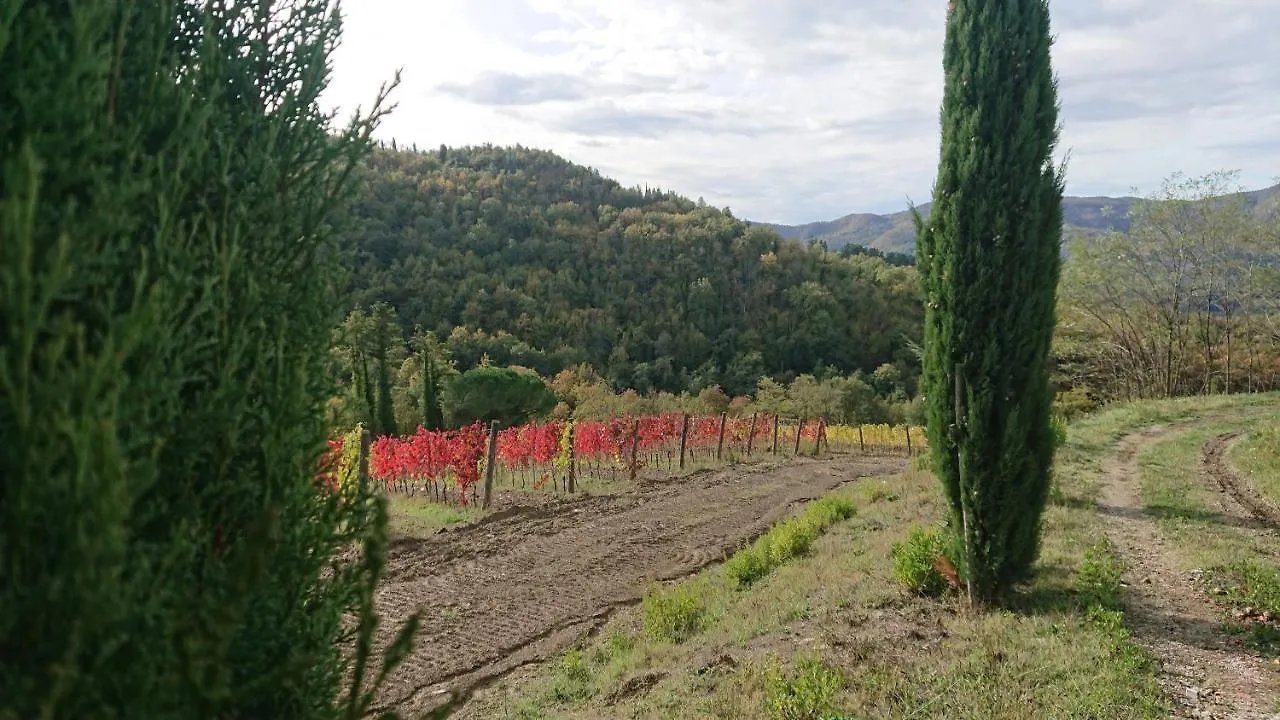 Vila Borgo Macereto Dicomano